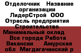 Отделочник › Название организации ­ ЛидерСтрой, ООО › Отрасль предприятия ­ Строительство › Минимальный оклад ­ 1 - Все города Работа » Вакансии   . Амурская обл.,Магдагачинский р-н